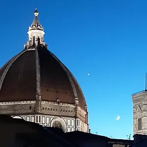 L'albero Di Garibaldi Florence